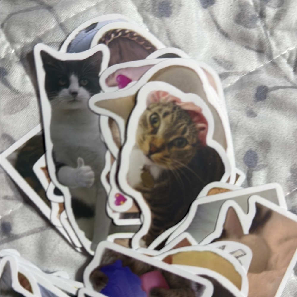 Cute Cat Sticker Pack - Picture 3 of 3